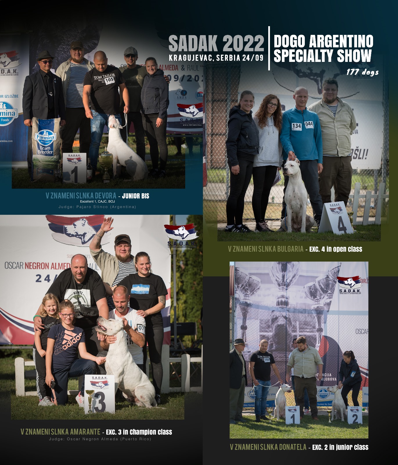 S.A.D.A.K. 2022