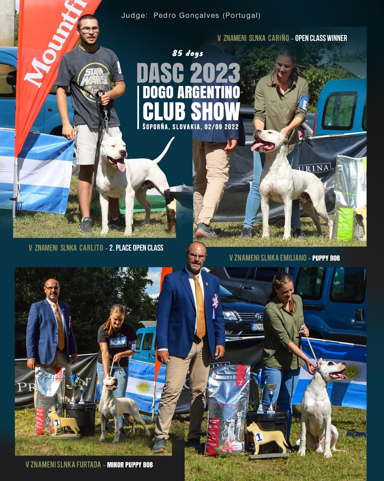 Klubová výstava DASC 2023